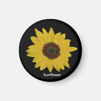 Solrosoljetorn Magnet