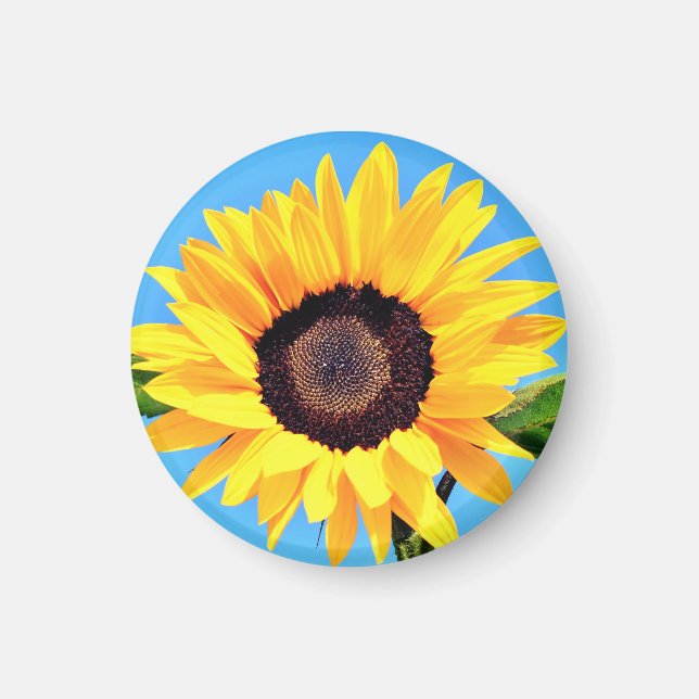 Solrosoljetorn Magnet (Framsidan)