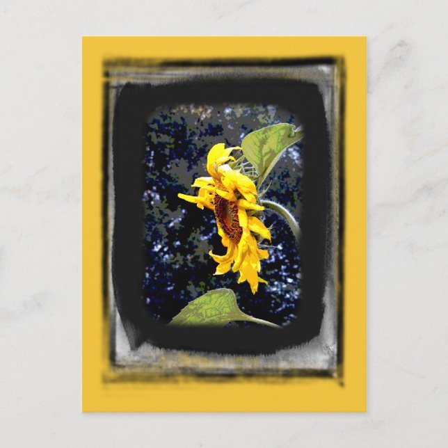 Solrosolycka 1 vykort (Framsida)