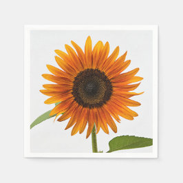 Solrosomsommarkvällstid Pappersservett