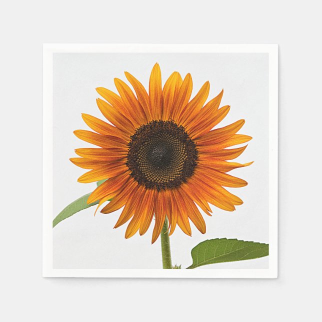 Solrosomsommarkvällstid Pappersservett (Framsidan)