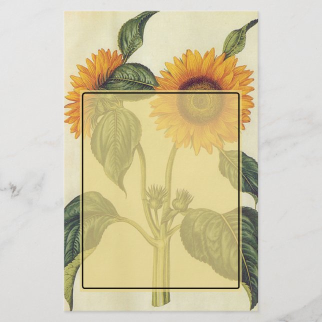 Solrosor Brevpapper (Framsida)
