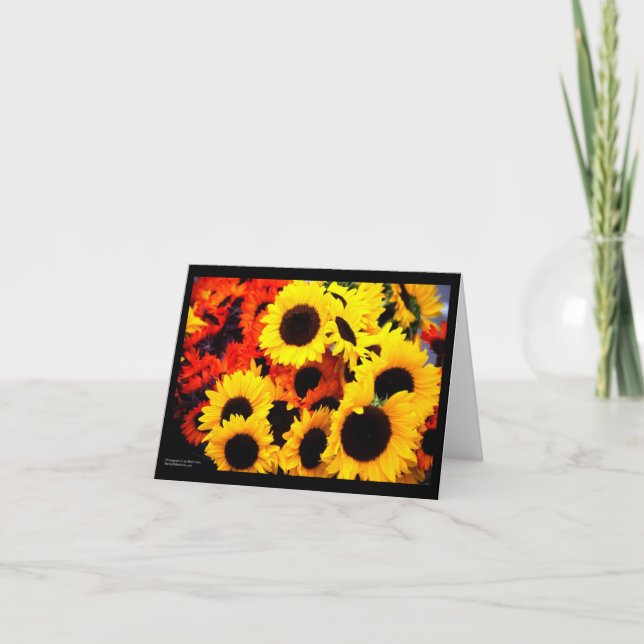 Solrosor Kort (Framsida)