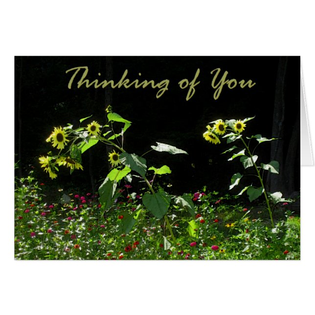 Solrosor och vildblommar hälsningskort (Framsidan Horizontal)