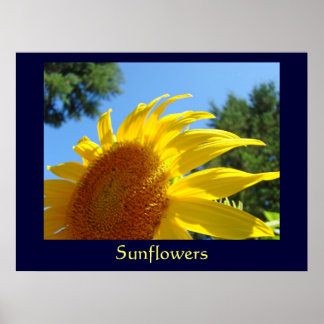 Solrosor Poster