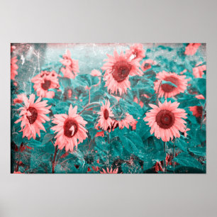 Solrosor Teal Rosa Blommig Vintage Grunge Struktur Poster