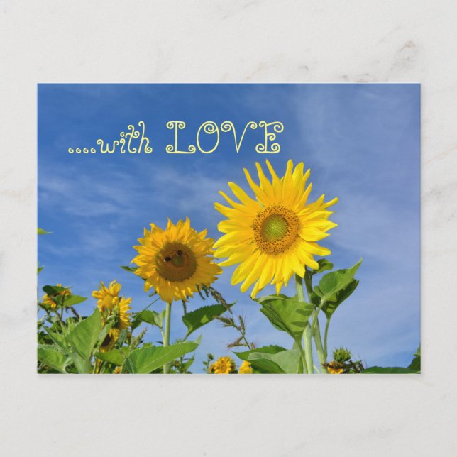 Solrosor till dig ... vykort (Framsida)