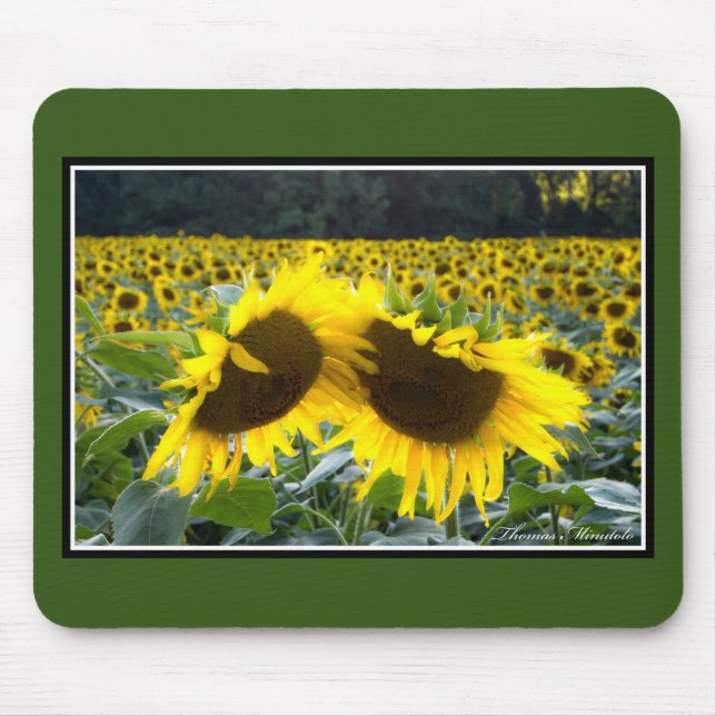 Solrosor tillsammans Mousepad av Thomas Minutolo Musmatta (Framsidan)