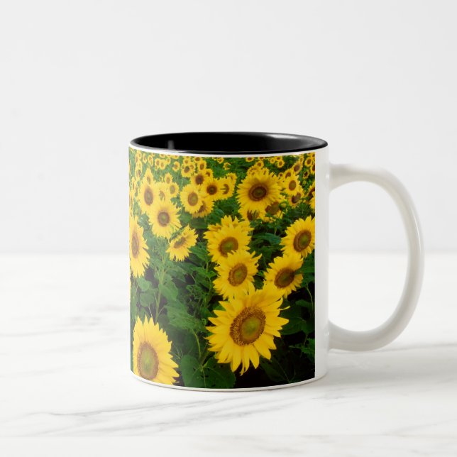 Solrosor Två-Tonad Mugg (Höger)