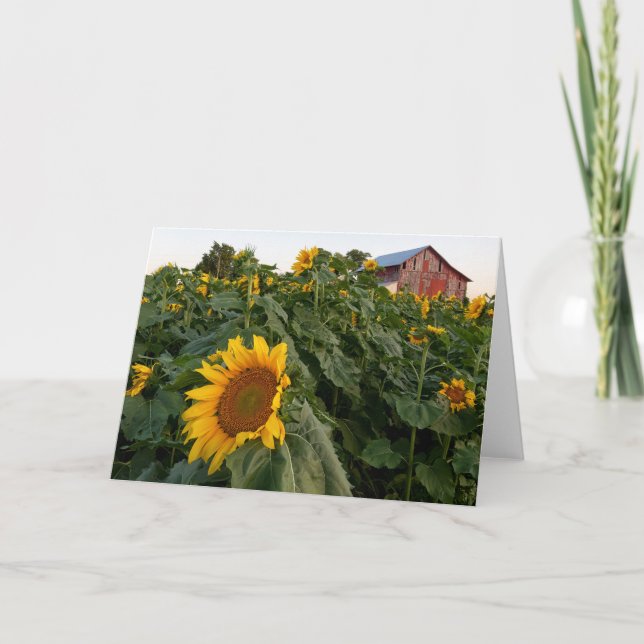 Solrosrött barn Blankt anteckningskort (Framsida)