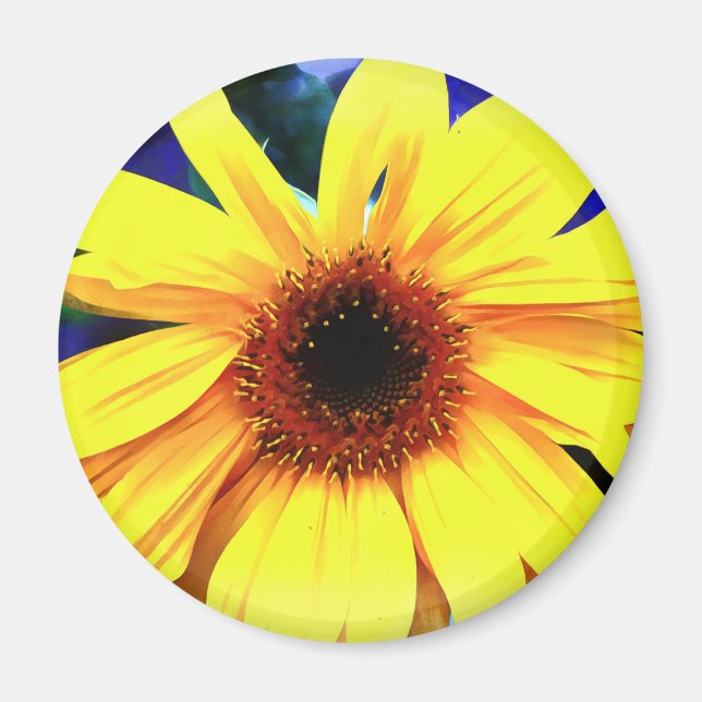 Solrosrundmagnet Magnet (Framsidan)