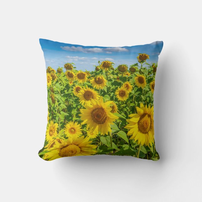 Solrossen fält, sommarsolig dag. kudde (Framsida)