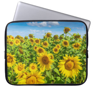 Solrossen fält, sommarsolig dag. laptop fodral