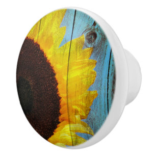 Solrossköldpaddor av rostfritt Land Knopp