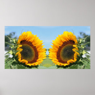Solrossolja i Abstrakten Solskine Spegel Poster