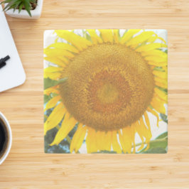 SolrossolrosBlommigt med stor Gult Stenunderlägg