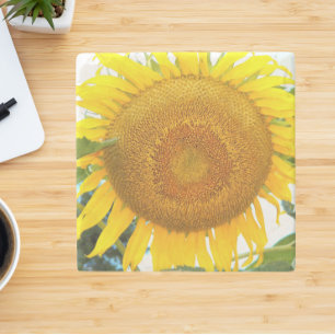 SolrossolrosBlommigt med stor Gult Stenunderlägg