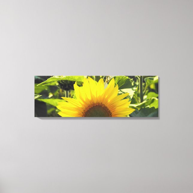 SolrossolrosKanvastryck (36X12) Canvastryck (Framsida)