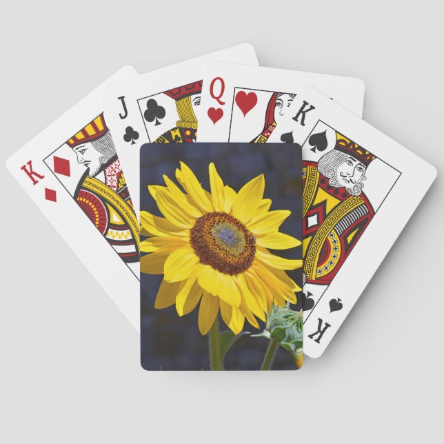 Solrossolrosor för Bright gult Casinokort (Baksidan)