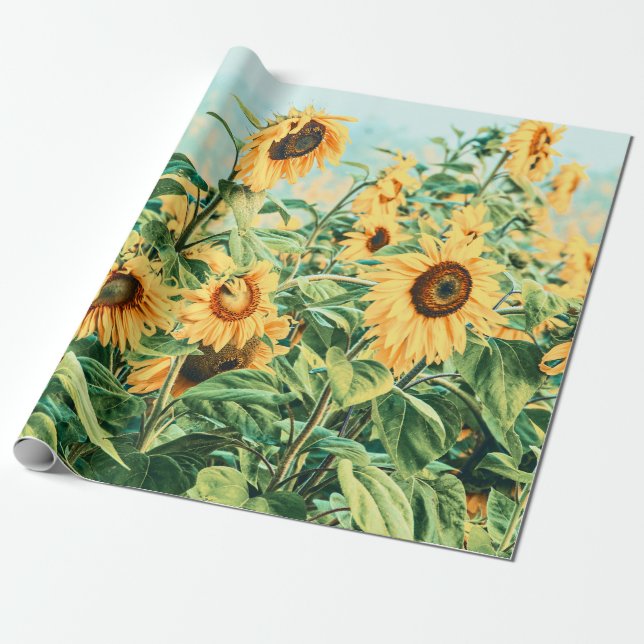 Solrossols Fält Gult Teal Decoupage Blommigt Art Presentpapper (Utrullad)