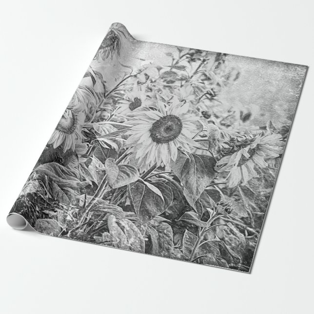 Solrossols Fält Vintage Black and White Decoupage Presentpapper (Utrullad)