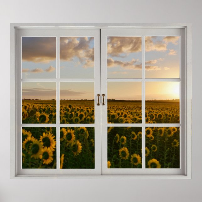 Solrossoluppgång i Blommigten Fake Window Poster (Framsidan)