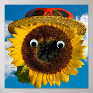Solrossomsommarens Roligt Poster