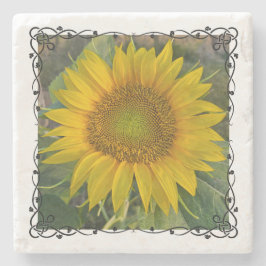 Solrossten Underlägg