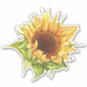 Solrosstiftare Klistermärken