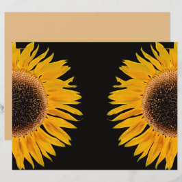 Solrossvart Gult Symmetrical Black Background