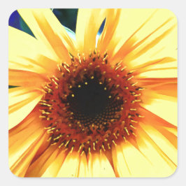 Solrostorget Stickers Fyrkantigt Klistermärke