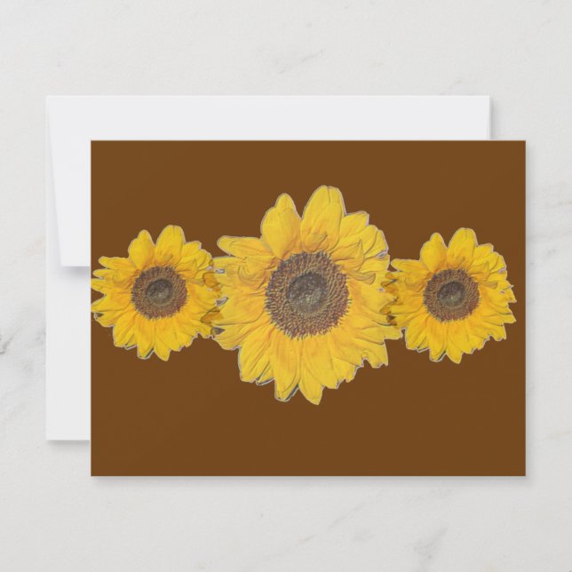 Solrostrio (Framsida)