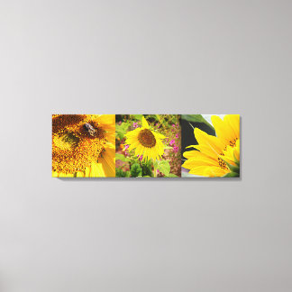 Solrostrio Canvastryck