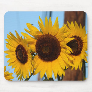 SolrosTrio Mousepad Musmatta