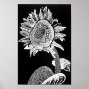 Solrostryck - konst för välgörenhet poster