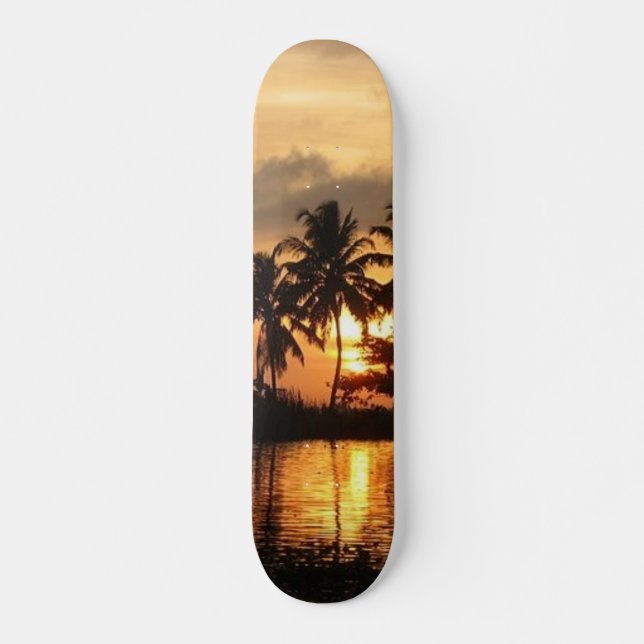 Solskartong Skateboard Bräda 19,5 Cm (Framsida)