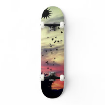 Solskateboard