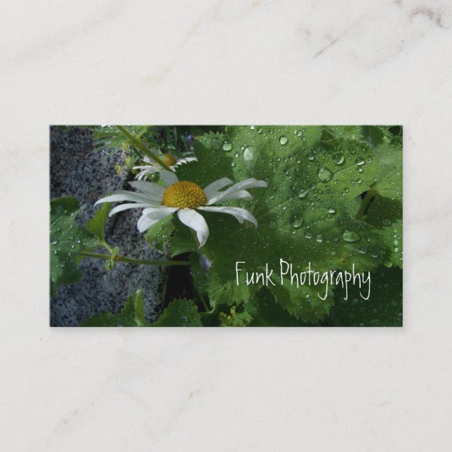Solsken efter regna visitkort (Framsida)
