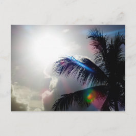 Solsken i paradiset vykort