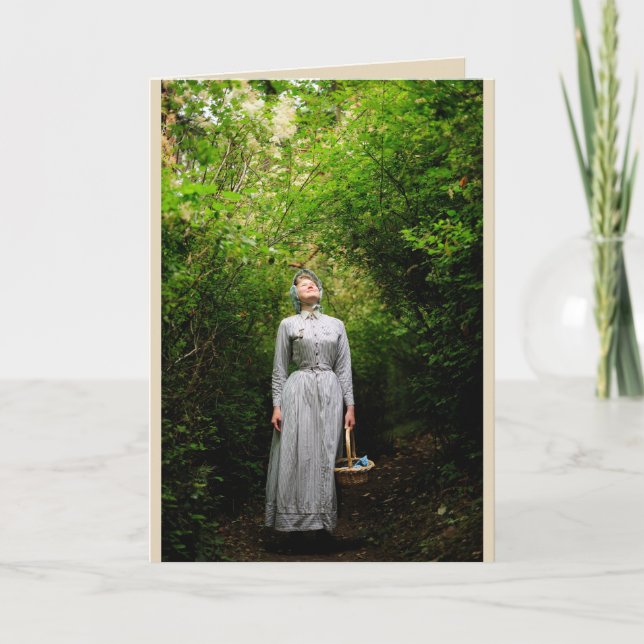 Solsken i skogenkortet kort (Framsida)