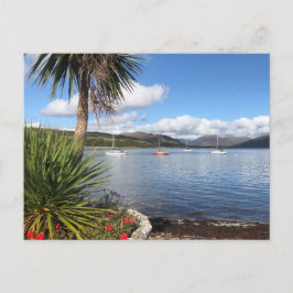 Solsken i Skottland. Bay med Handflatan Träd & Yac Vykort