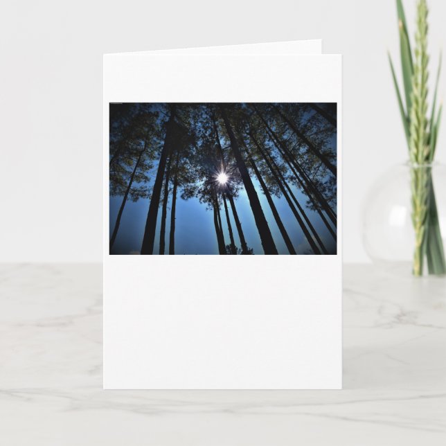 Solsken, kort (Framsida)