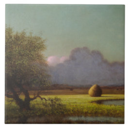 Solsken: Newbury Marshes Kakelplatta