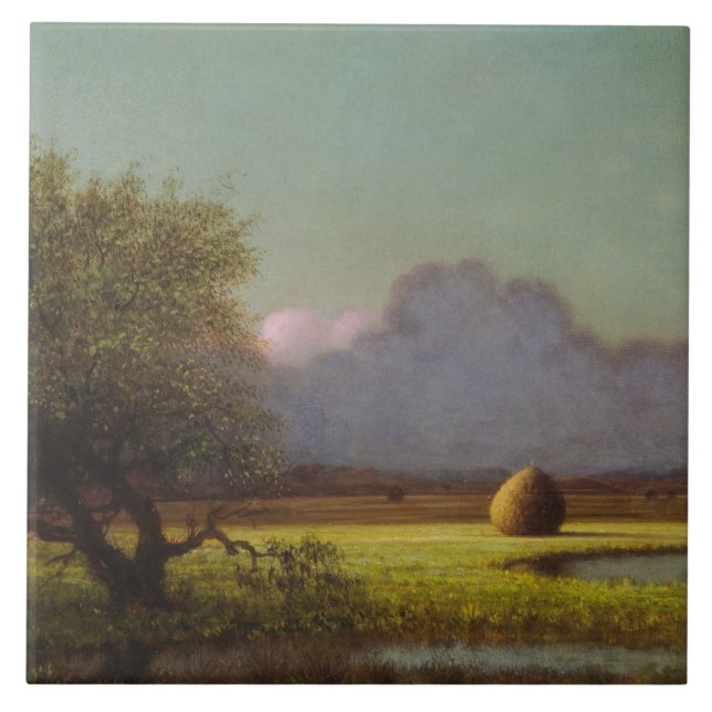 Solsken: Newbury Marshes Kakelplatta (Framsidan)