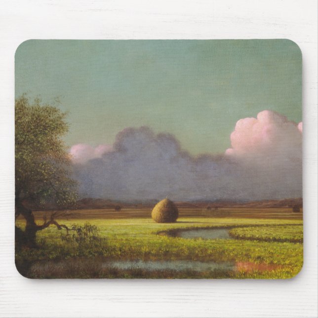 Solsken: Newbury Marshes Musmatta (Framsidan)