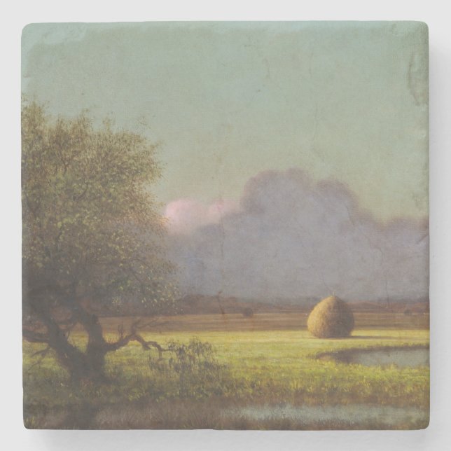 Solsken: Newbury Marshes Stenunderlägg (Framsidan)