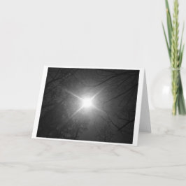Solsken - Noir, kort