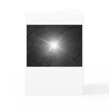 Solsken - Noir, kort