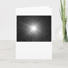 Solsken - Noir, kort