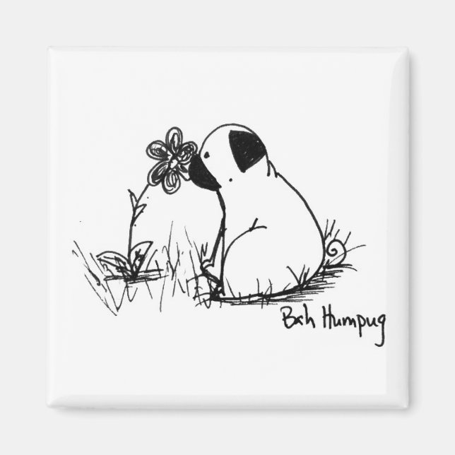 Solsken och blommor magnet (Framsidan)